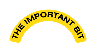 the important bit